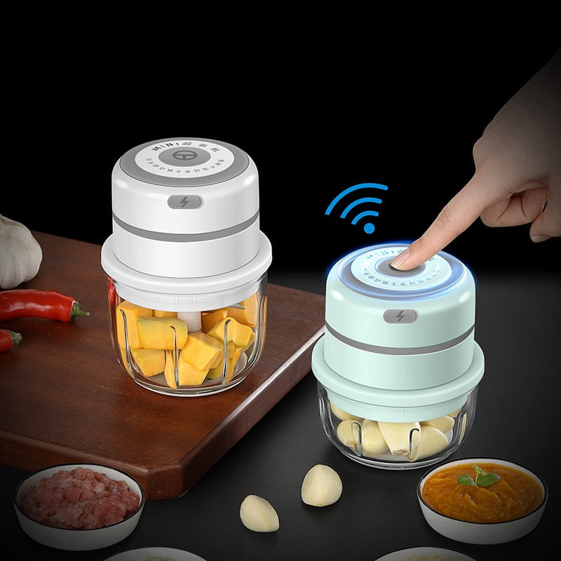 Mini Vegetables Grinder Chopper