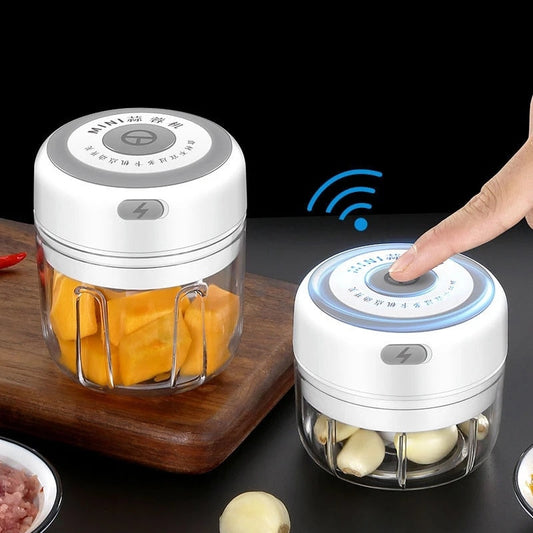 Mini Vegetables Grinder Chopper